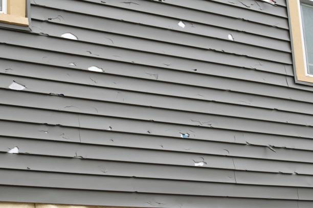 Reliable Tidmore Bend, AL Siding Installation & Repair Solutions